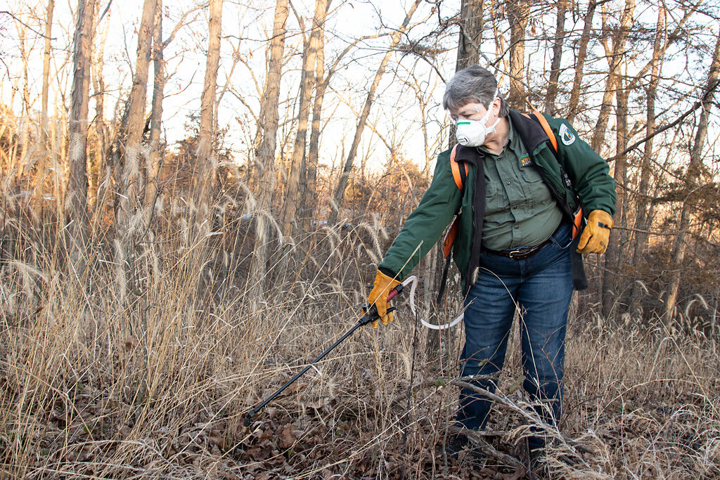 Roxie Campbell sprays herbicide